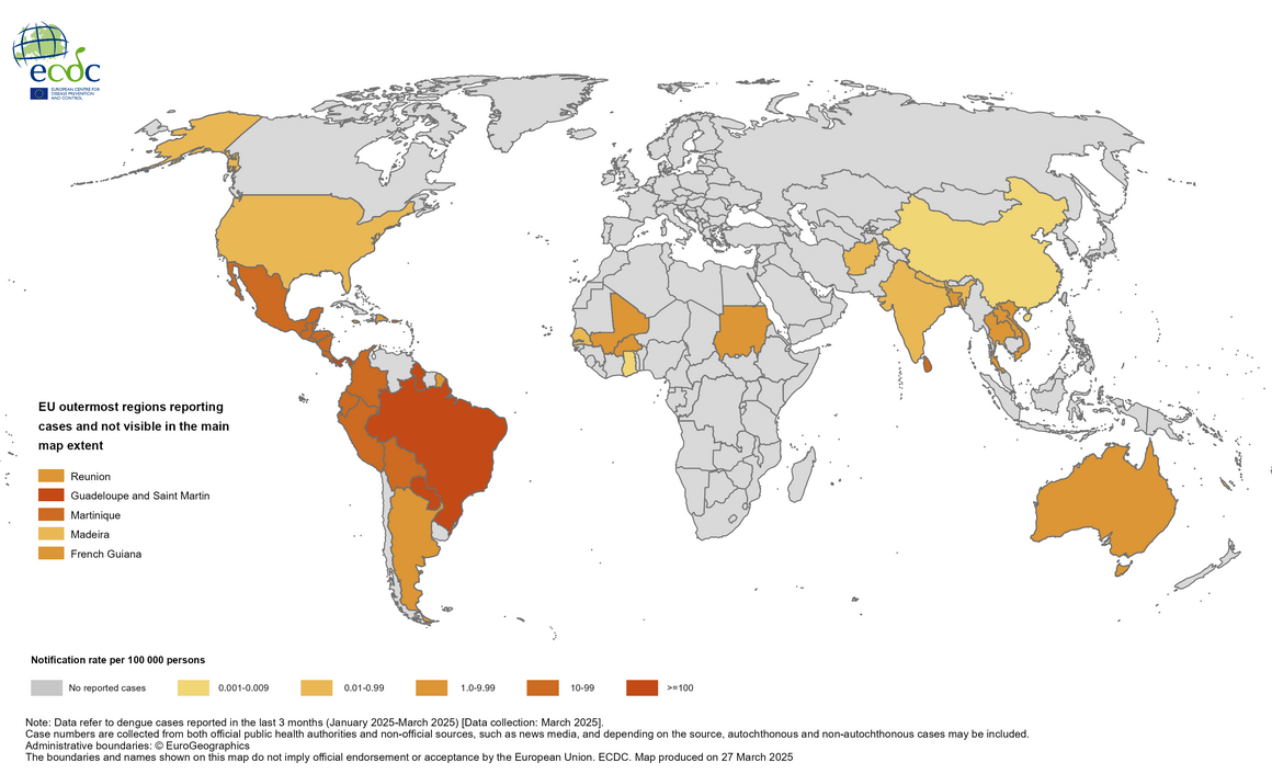 Geographical distribution of dengue cases reported worldwide, January–March 2025