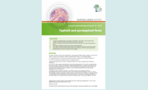 Cover of the Typhoid AER for 2015 Thumbnail